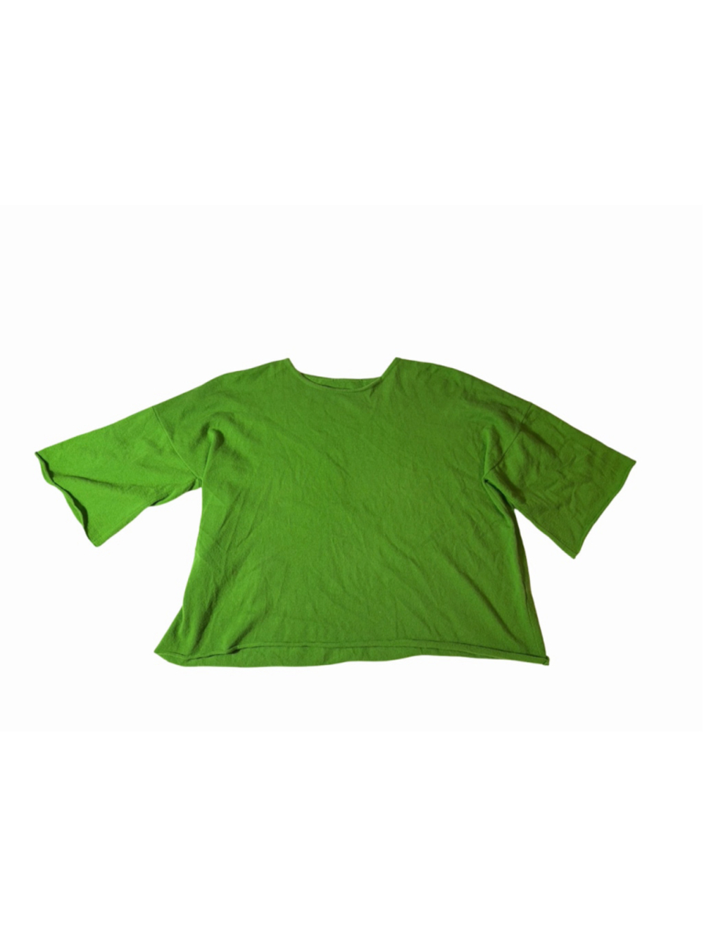 Eskandar Bright Green 100% Cashmere Boxy Oversized Sweater Quiet Luxury